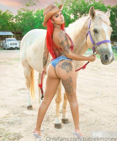 babiekmoney nus de stars du porno collection