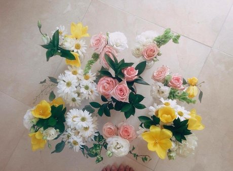 fans dia uniquement adulte photos