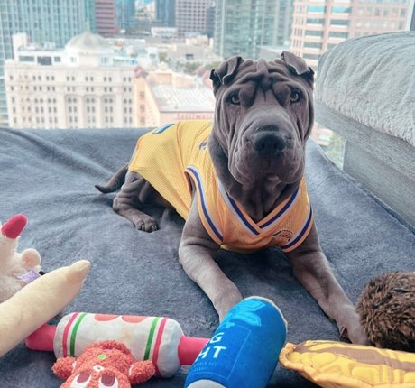 nu gratuit onlyfans gratuit exclusif galerie