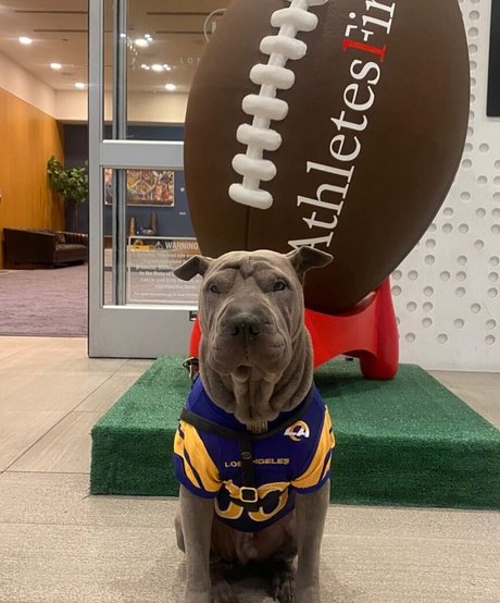 amyanderssen modèle pornographique photos