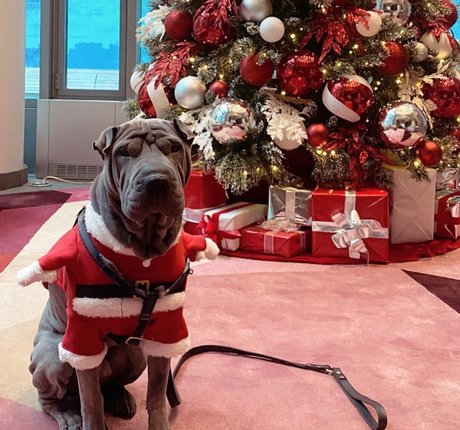 arabes épais onlyfans meilleurs nus archive