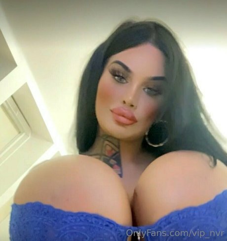 vip nvr modèle gratuit photo