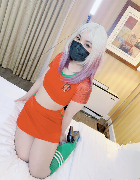 fans asiatiques célèbres bon collection