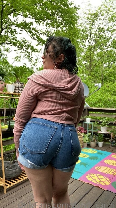 fans navajos uniquement nu img