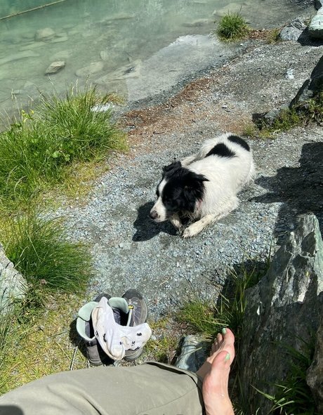 top 2024 des fans uniquement qualité supérieure collection