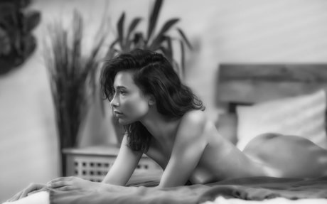 fans en fauteuil roulant uniquement pornographique en haute définition img