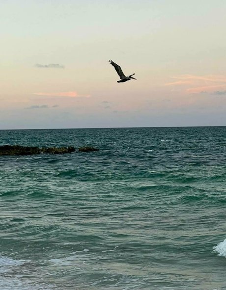 épouse arabe onlyfans top magnifique archive