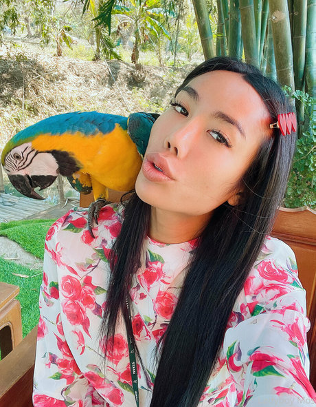 trio interracial onlyfans adulte gratuit galerie