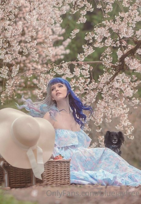 bluejayfree haut de star du porno photo