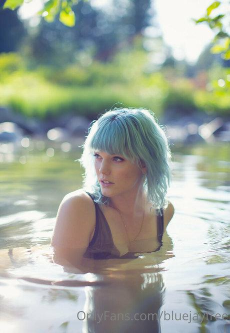 bluejayfree Profilfoto