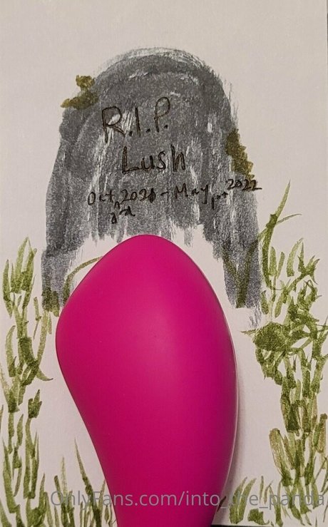 into the panda star du porno sympa photo