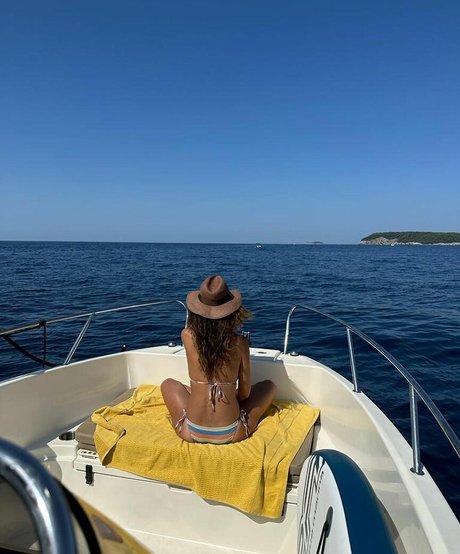 Emmanuelle Chriqui star pornographique img