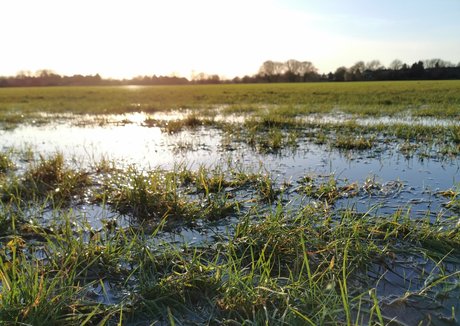 bikini nu onlyfans art galerie