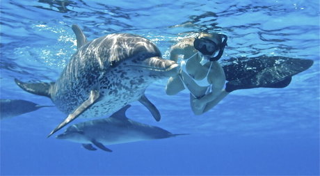 Hayden Panettiere meilleur modèle images