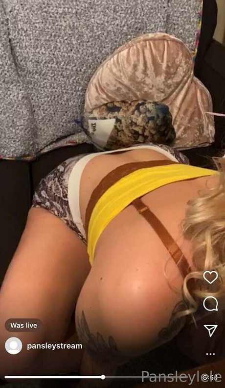 pansleylive star du porno hd collection