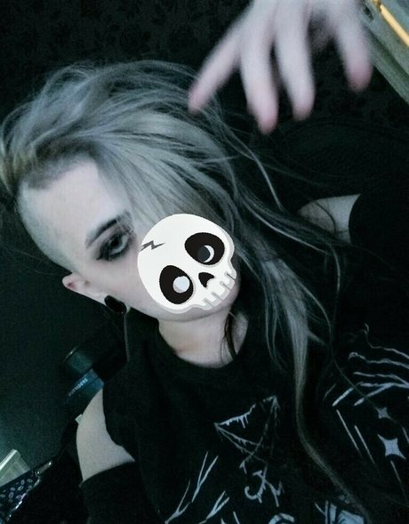 Kiwo étoile de haute qualité galeries