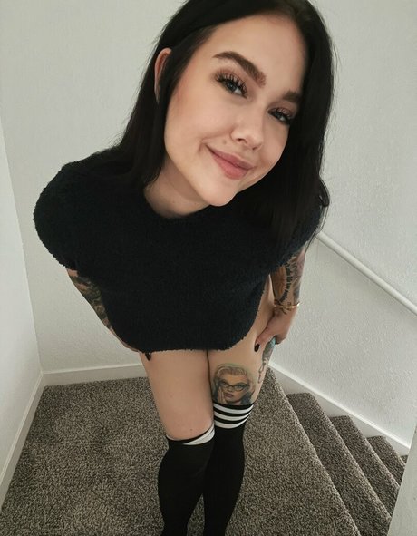 fans de voile uniquement belle qualité images