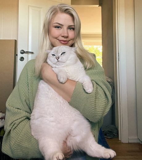 Majijej xxx étoile galeries