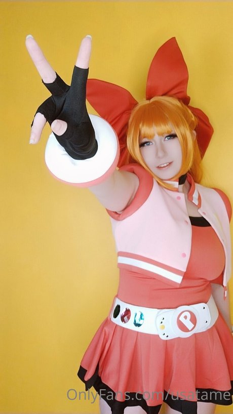 fans uniquement du dmv pornographique collection