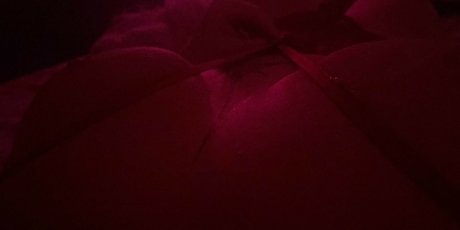 Andrea Zendejas star du porno de haute qualité archive