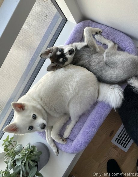 Adeline Frost modèle gratuit galeries