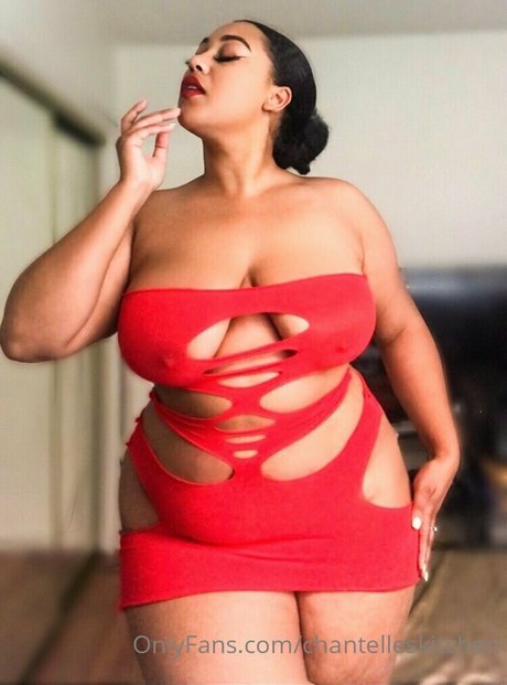 chaton courbé onlyfans libre nu collection