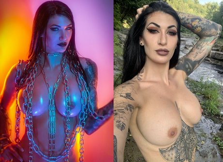 Damazonia_ top star galerie