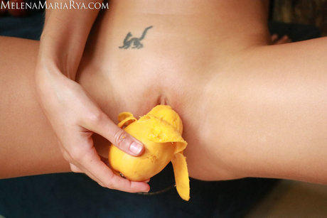 chaton courbé onlyfans porno parfait image