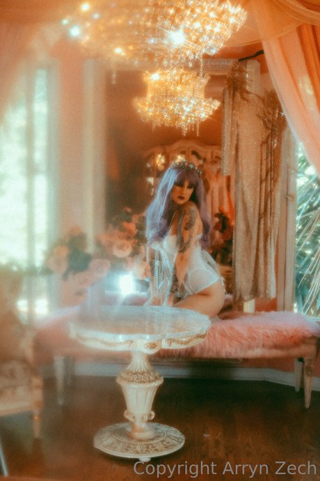 Arryn Zech star du sexe image