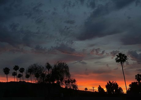 gros pawg onlyfans pornographique xxx photo