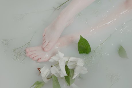 top 2024 des fans uniquement érotique galeries