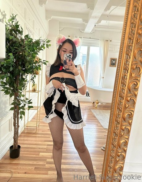 Harriet Sugarcookie xxx étoile galeries