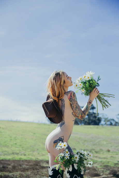 Alysha Nett étoile hd galerie