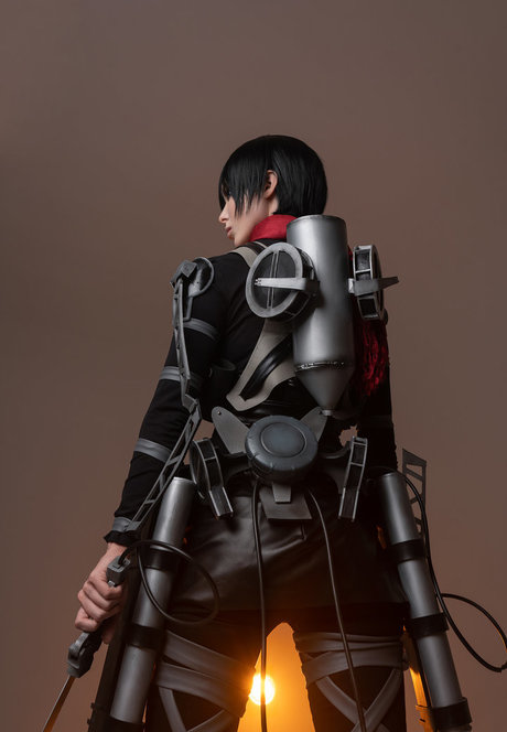 Vinnegal modèle gratuit img