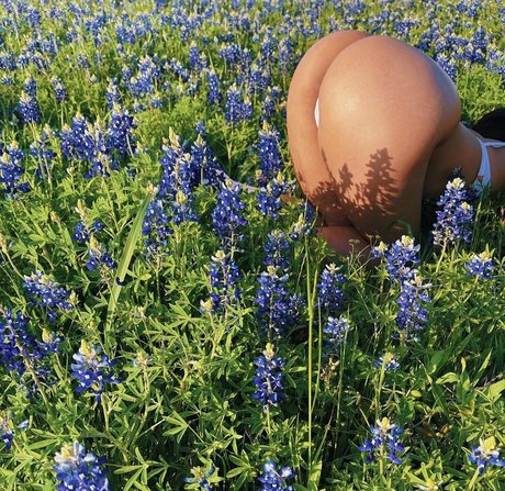yoga asiatique uniquement pour les fans nu sympa des photos
