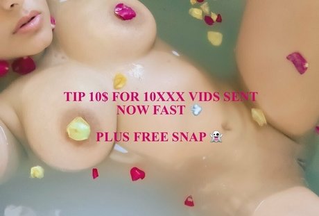 fans de voile uniquement belle hd des photos