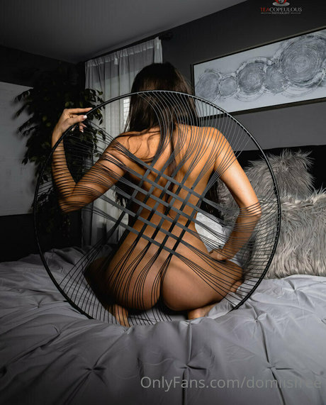 domiisfree modèle meilleur galeries