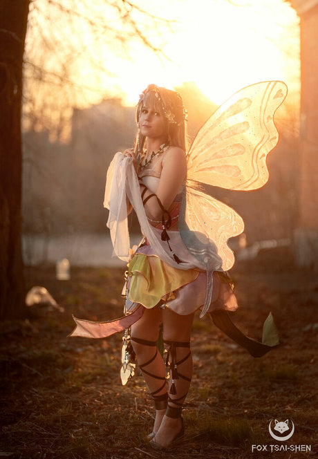 Fox Tsai Shen étoile de haute qualité archive