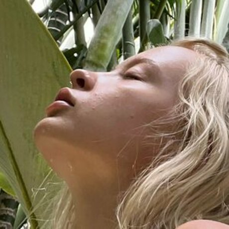 fleamxfree belle étoile galeries