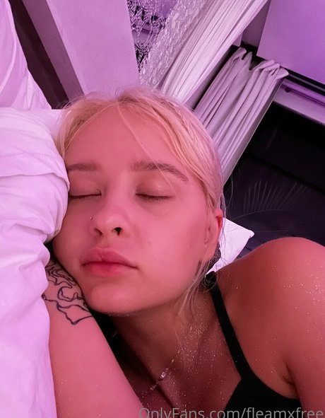 fleamxfree étoile chaude collection