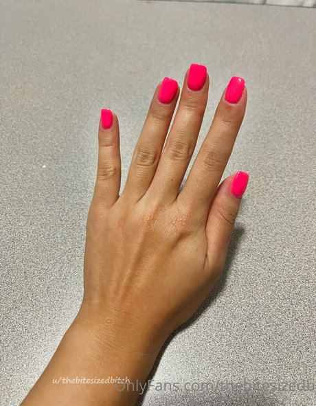 thebitesizedb nus étoiles img