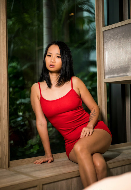 fans de nerds uniquement adulte exclusif photos