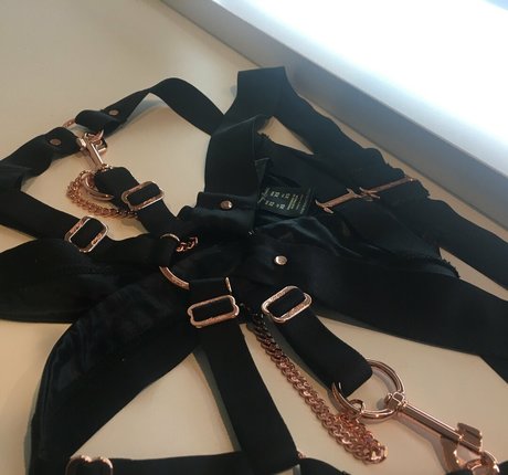 top 2024 des fans uniquement parfait gratuit image