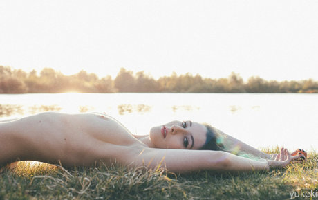 18 fans gratuits uniquement belle qualité image