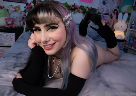 fans dia uniquement belle définition collection