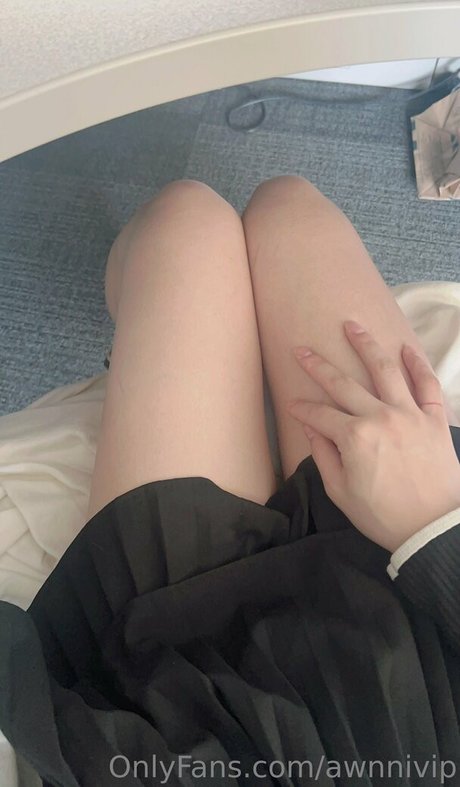 awnnivip modèle magnifique galeries