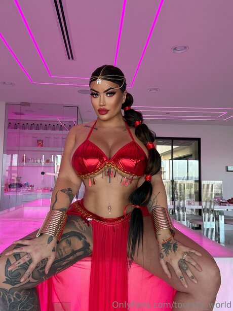 toochis world haut étoile galeries