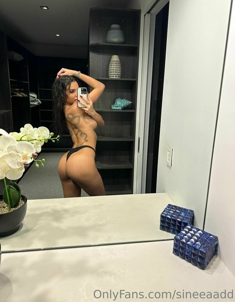 Sineeaadd star du sexe collection