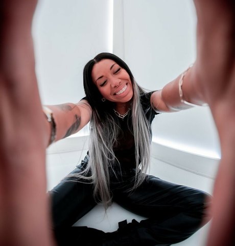 chaton potelé uniquementfans meilleur adulte img