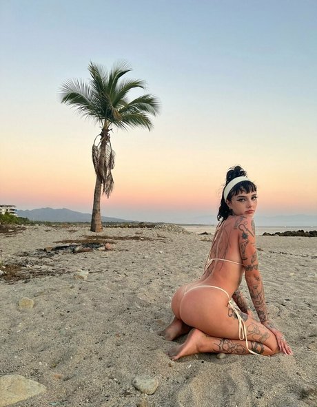 Notsick3 modèle exclusif collection